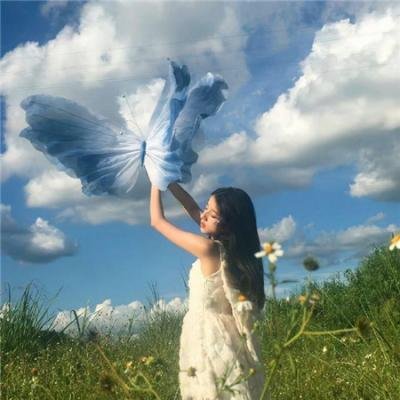 美国阶级 在线观看