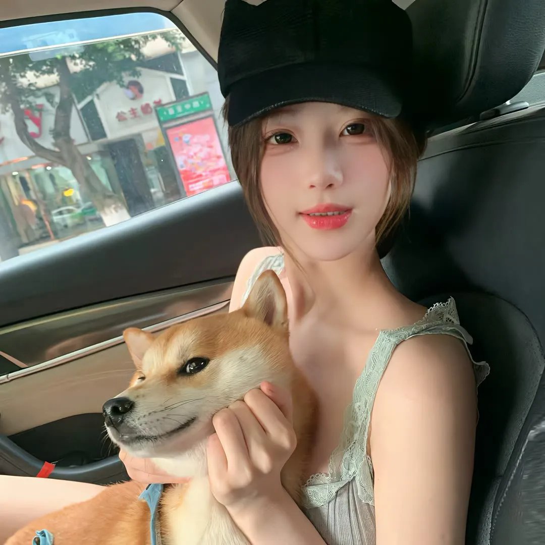 母狗 在线观看