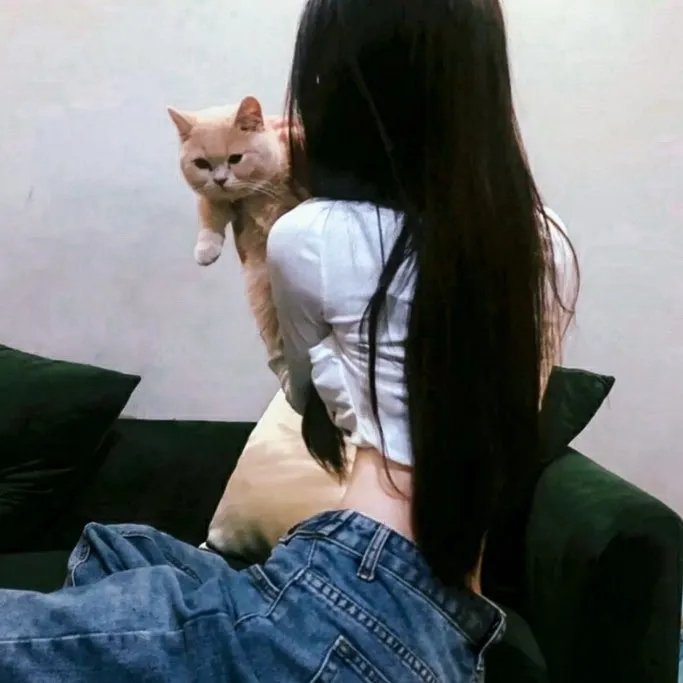 安曼女神 在线观看