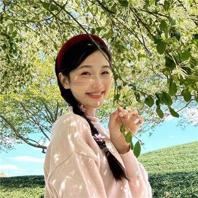 公理 在线观看